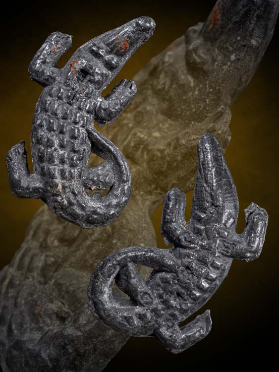 จระเข้หลวงพ่อสนิท วัดลำบัวลอย จ.นครนายก-1