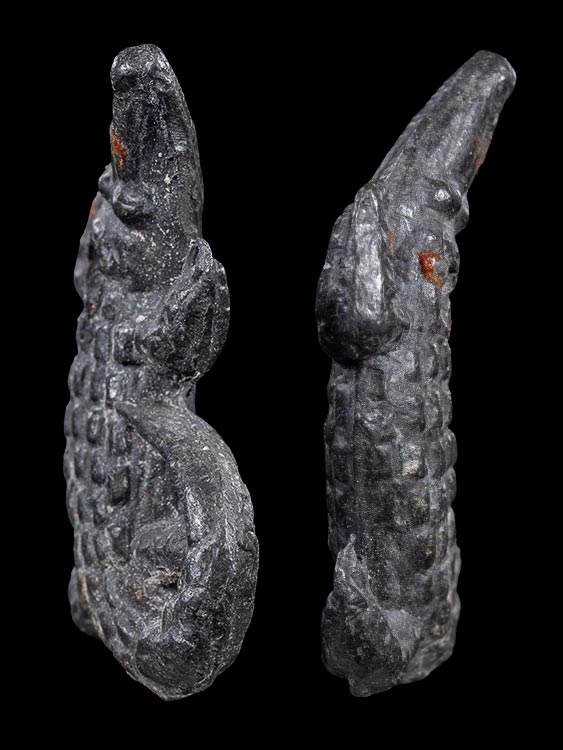 จระเข้หลวงพ่อสนิท วัดลำบัวลอย จ.นครนายก-1