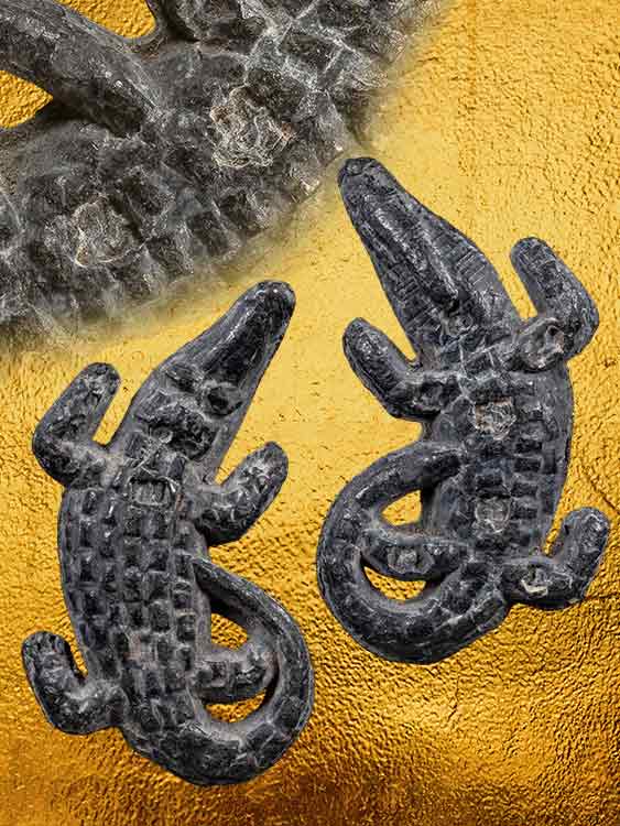 จระเข้หลวงพ่อสนิท วัดลำบัวลอย จ.นครนายก-1