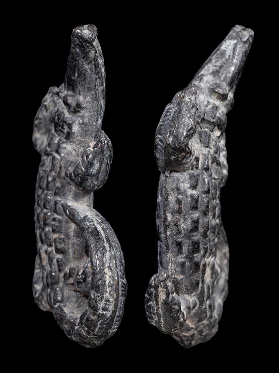 จระเข้หลวงพ่อสนิท วัดลำบัวลอย จ.นครนายก-1