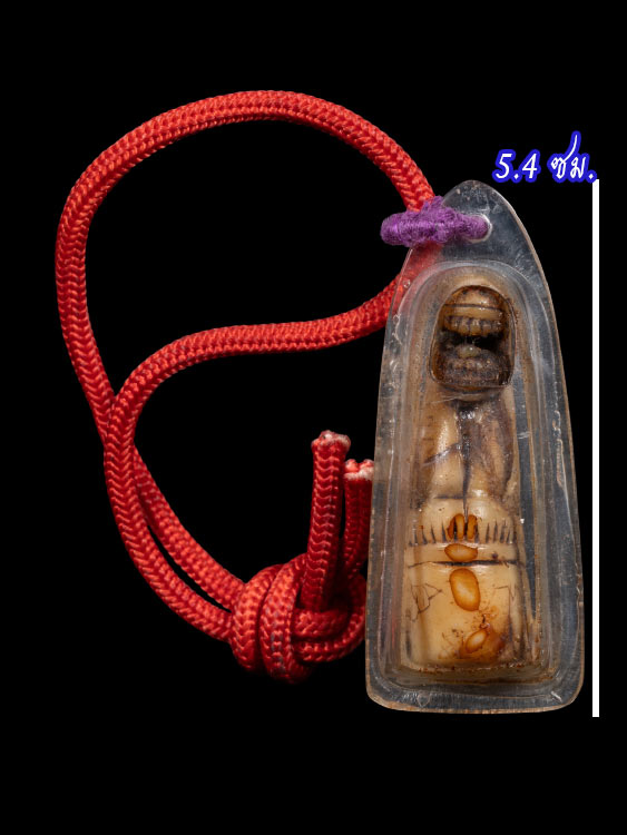 เสือหลวงพ่อสาย วัดคลองด่าน-1