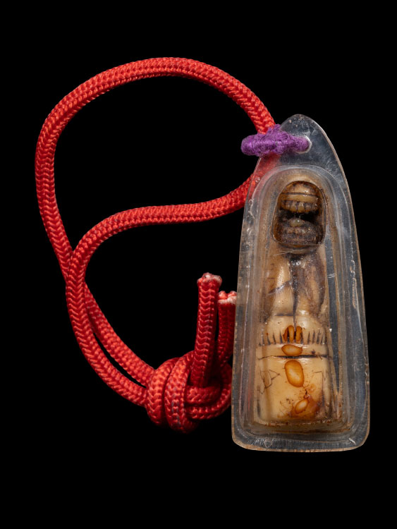 เสือหลวงพ่อสาย วัดคลองด่าน-1