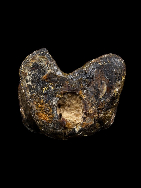 ฤาษี เนื้อไม้แกะปิดทองอุดผง ไม่ทราบที่ เก่ามาก-1