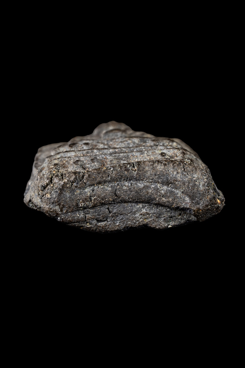 พระหลวงปู่ทวด เนื้อว่านรุ่นแรก วัดพะโคะ พิมพ์ใหญ่ ปีพ.ศ.2506-1