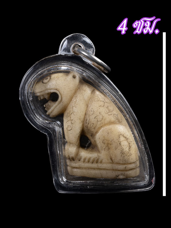 เสือกระดูก ไม่ทราบที่ ผมได้บ้านกรุงเทพฯมา ของมรดกเก่า สภาพสวยสมบูรณ์-1