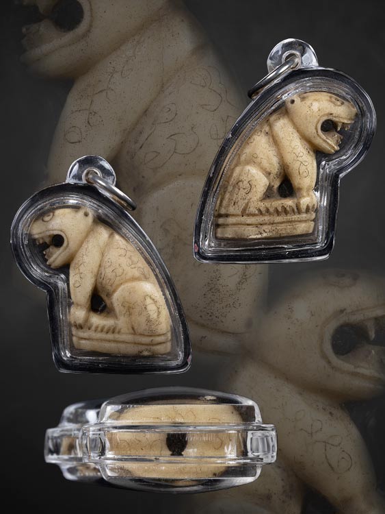 เสือกระดูก ไม่ทราบที่ ผมได้บ้านกรุงเทพฯมา ของมรดกเก่า สภาพสวยสมบูรณ์-1