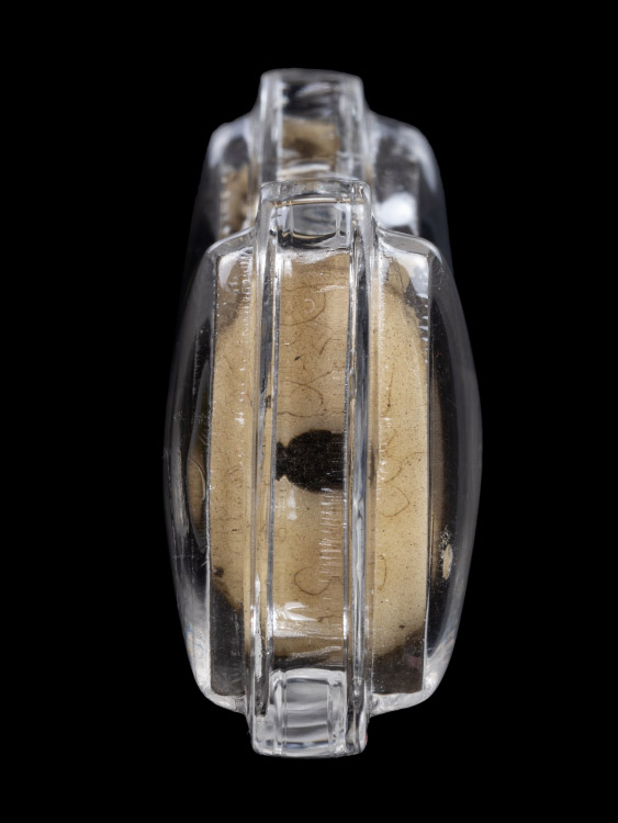 เสือกระดูก ไม่ทราบที่ ผมได้บ้านกรุงเทพฯมา ของมรดกเก่า สภาพสวยสมบูรณ์-1